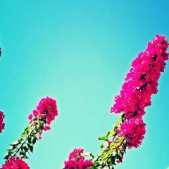 Марина Большакова