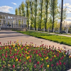 Elena Elena, 26.04
