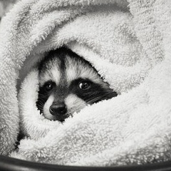 Татьяна Кик, 03.03.1986, Москва