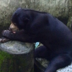 Алексей Агров, 09.02, Уфа