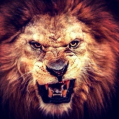 Tagir Magomedov, 26.01.1989, Каспийск