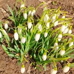 Мария Чубунова, 15.02, Москва