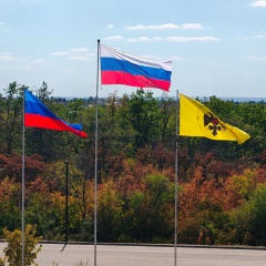 Дмитрий Белый, Воронеж