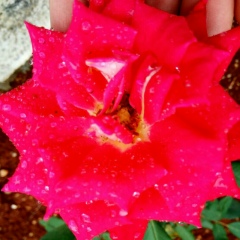 Chocho Aung, 28.02.1976