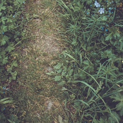 Ruslan Kastani, 12.03.1990, Kokopo