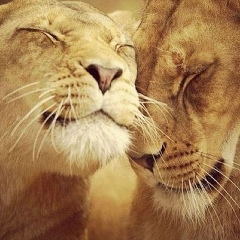 Анна Василенко, 28.10, Санкт-Петербург