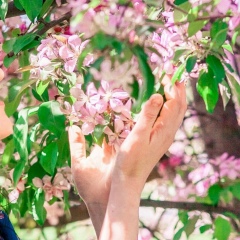 Диляра Шарифуллина, Казань