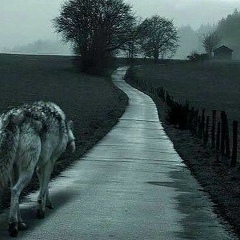 Магомед Магомедов, 17.12.2006, Махачкала