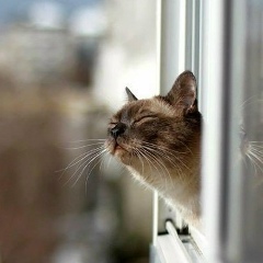 Ленка Шевелева, 02.03.1986, Санкт-Петербург