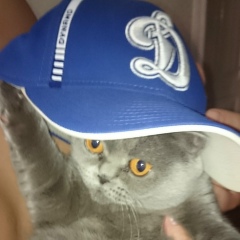 Сергей Стригалев, 30.04.1976, Ростов-на-Дону