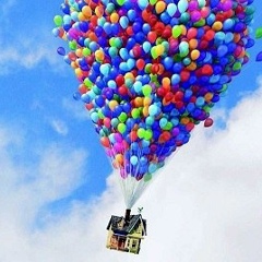 Елена Цветкова, Санкт-Петербург