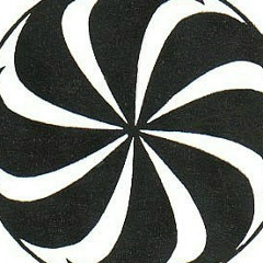 Тарон Алекян, Калуга