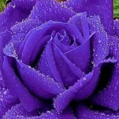 Жамила Айганатова, 02.04.1963, Астана