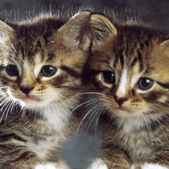 Татьяна Потурайко, 25.10, Днепр (Днепропетровск)