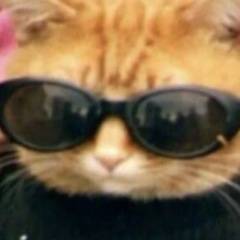 Елизавета Фролова, 02.02