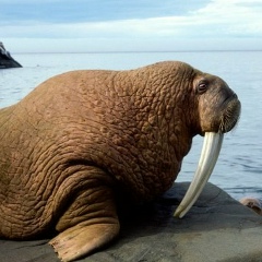 Павел Проскурин, 04.09.1979