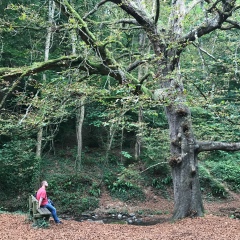Станислав Ерошенко, 24.11.1987, Екатеринбург