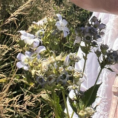 Виктория Оверчук, 10.02.1983, Санкт-Петербург