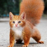 Марина Храмкова, 10.05