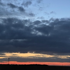 Xx W, Ростов-на-Дону