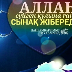 Салтанат Тилепбаева