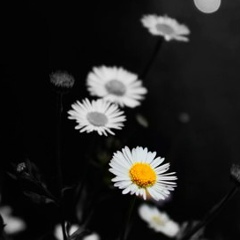 Елена Бугакова, 08.01, Астана