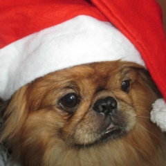 Наталья Андреева