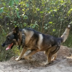 Серёга Исак, 19.07, Кстово