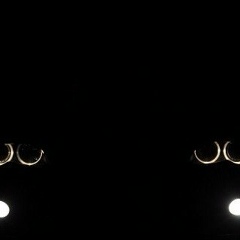 Roman Vorobyev, 06.01.1988, Москва