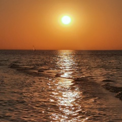 Елена Соколова, 05.03, Санкт-Петербург