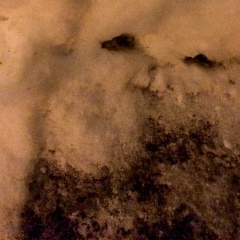 Костя Костя, Санкт-Петербург