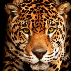 Ерлан Тохтарбай, 15.09.1994, Алматы