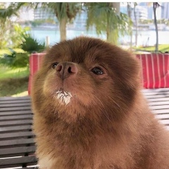 Валентина Святохина, 15.02.1995, Кокшетау