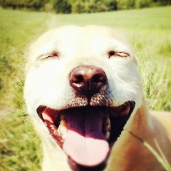 Мария Клестаринская, 11.03.1991