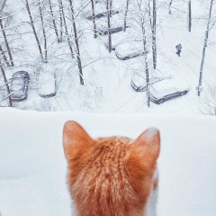 Анастасия Зигулина, 17.04, Москва