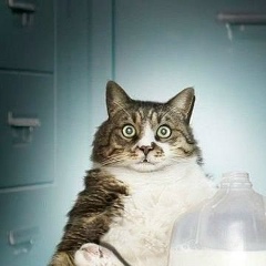 Konstantin Kanta, 07.02, Москва