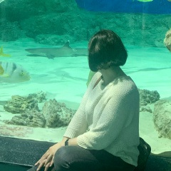 Анастасия Галинкина, 22.08, Вологда