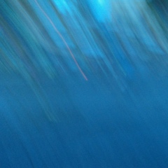 Анастасия Евланова, Новая Одесса