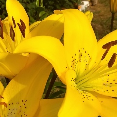 Ирина Инедеркина, 20.06, Санкт-Петербург