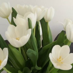 Ксюша Сар, 15.06.1987