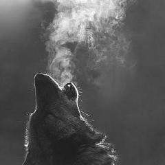 Александр Мухортов, 31.12, Самара