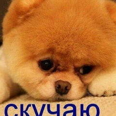 Карина Джабраилова