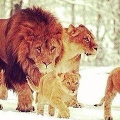 Муслим Муслимов, 01.02.1997, Баксан