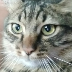 Алексей Дуров, 07.05