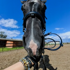 Анастасия Данилова, 14.08.1987, Зеленоград