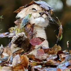 Екатерина Масленникова, 10.03