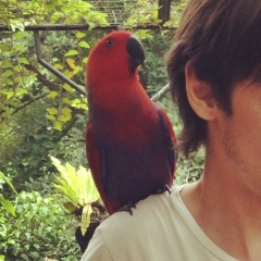 Никита Балдаков, 14.02, Москва