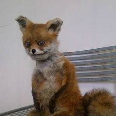 Михаил Асташкин, 25.12.1986, Москва