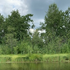 Евгения Сатарова