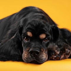 Екатерина Волкова, 31.10.1984, Санкт-Петербург